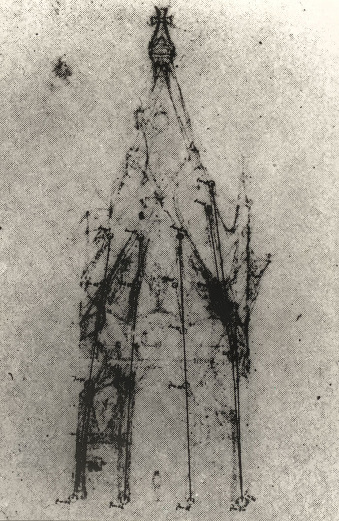 gaudichile3